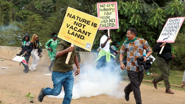 Nature Is Not Empty Land! Portrait of Residents Protesting Forest to Become Parking Lot