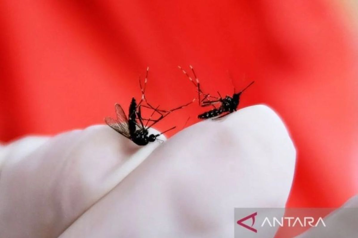 Climate change increases risk of dengue, malaria, and diarrhoea in children