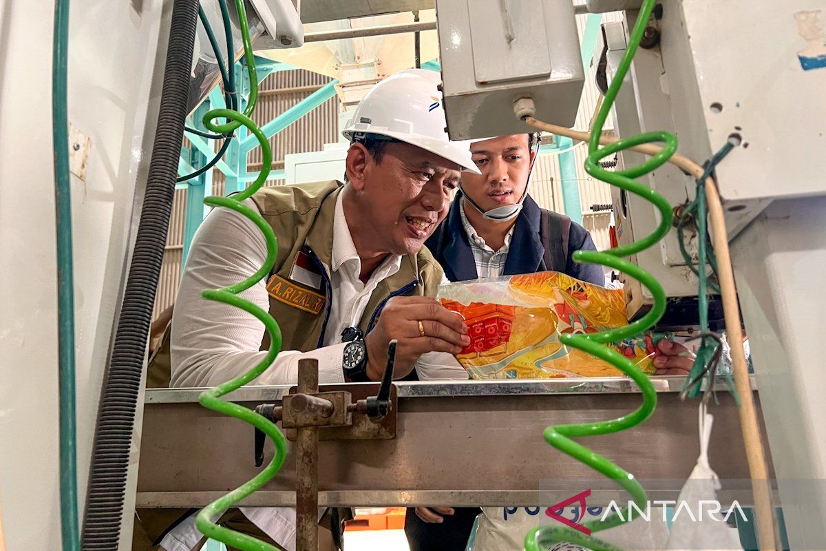 Bulog proposes 'Beras Kita Premium' programme to stabilise prices