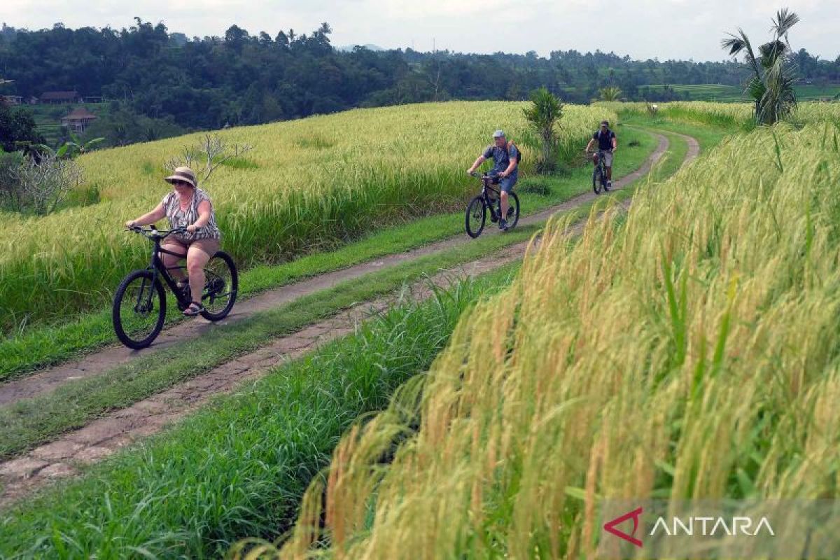 'Seeds of Change' Programme Supports Sustainable Tourism Innovation