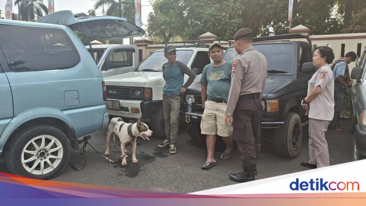 Moments Leading to Boy's Death in Bogor Hunting Dog Attack While Fishing for Eels