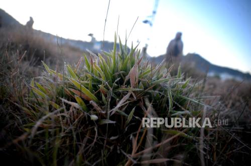 Dieng Plateau Freezes Over, Temperatures Drop to Minus 1 Degree Celsius