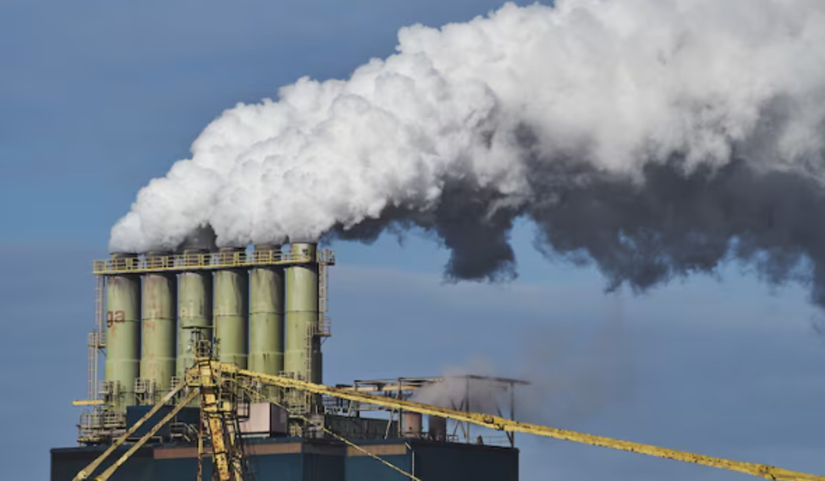 Understanding Carbon Trading: Mechanisms, Types, and Its Role in Curbing Climate Change