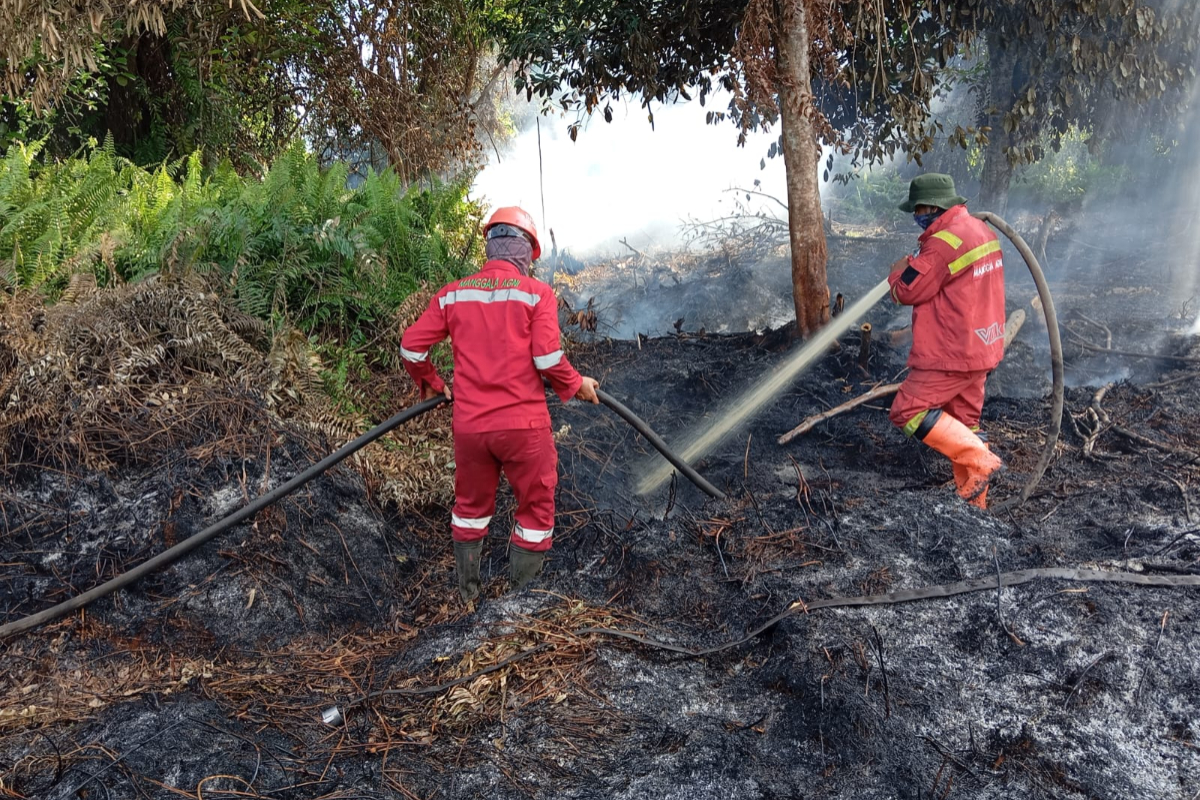 Forest and Land Fire in Rimbo Panjang, Riau, Extinguished Before Spreading