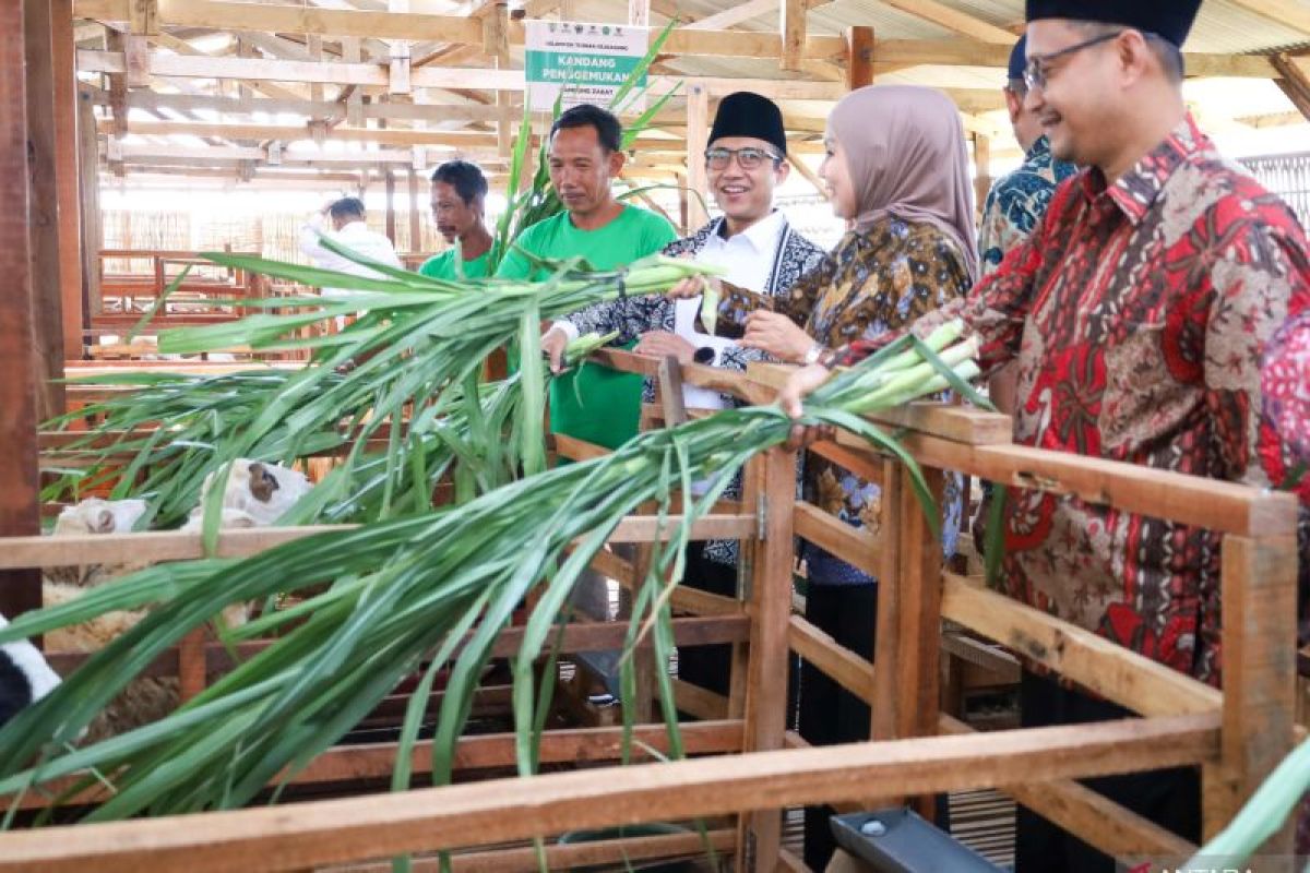Baznas Establishes Livestock Centre to Empower Mustahik in Kendal