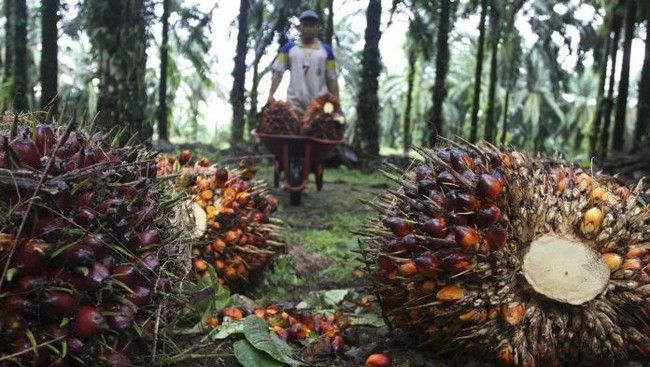 Get Ready! Quarterly Evaluation for Strategic Natural Resource Export Rules