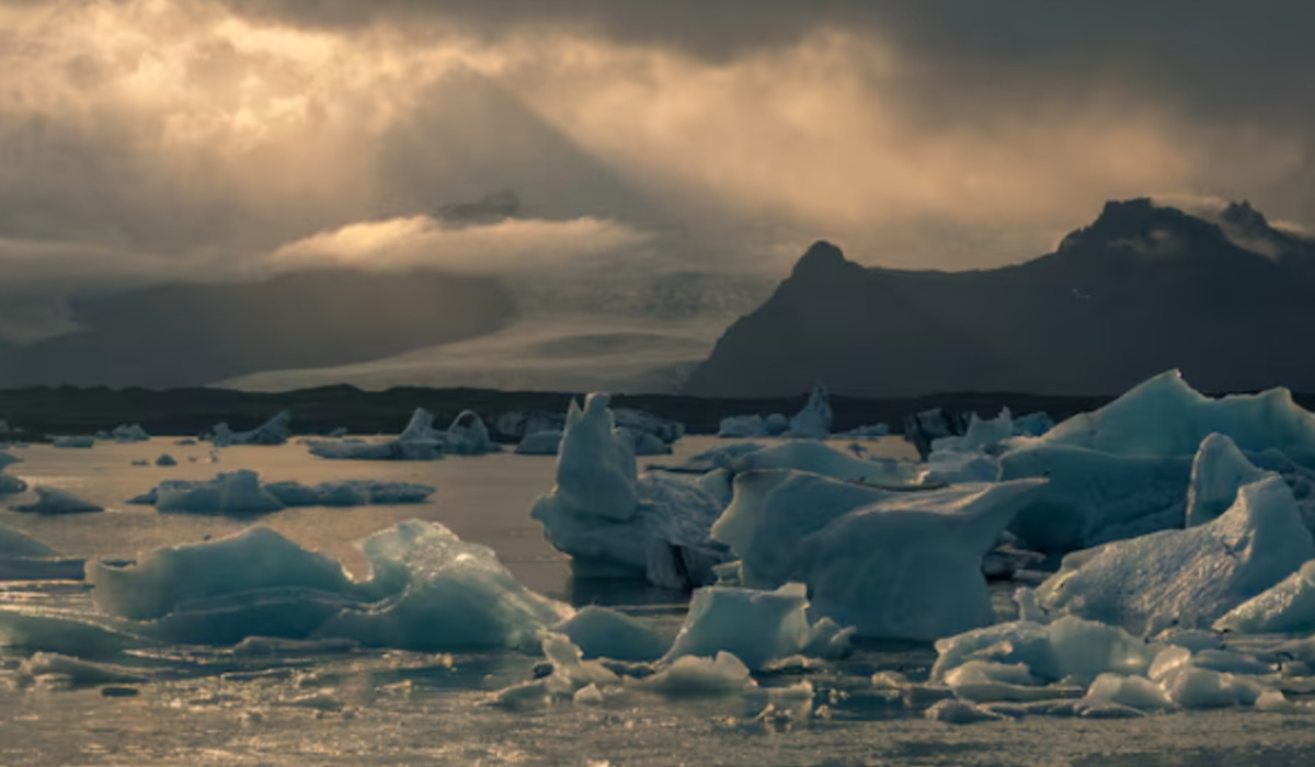 Zoonosis Threat: How Climate Change Forces Viruses to 'Move House' to Humans