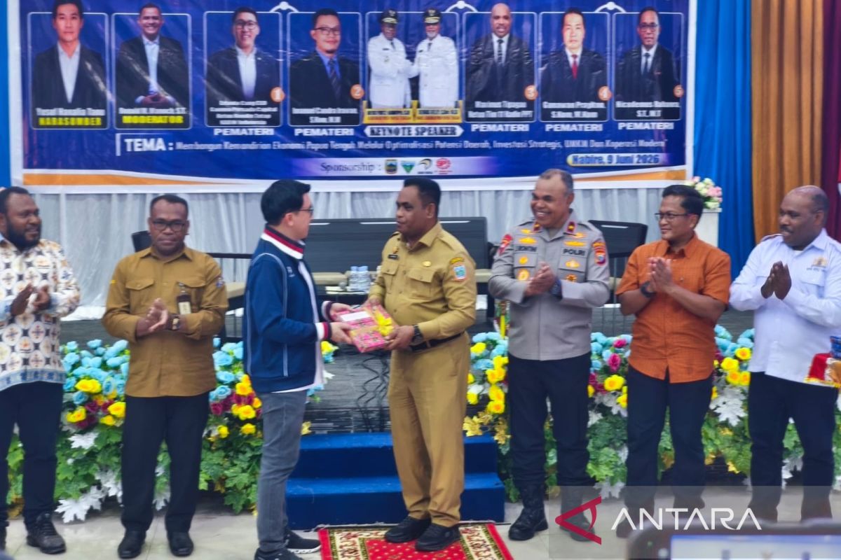 Kadin launches data-driven investment guide for Central Papua