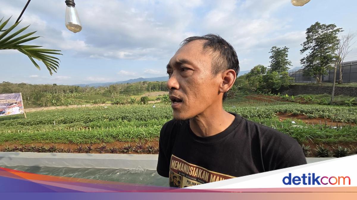 Inmates at Warungkiara Prison Find Solace in Farming While Serving Sentences