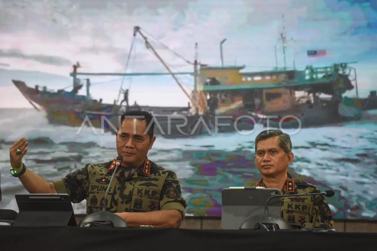 KKP Releases 1,300 Napoleon Fish Seized in Smuggling Case