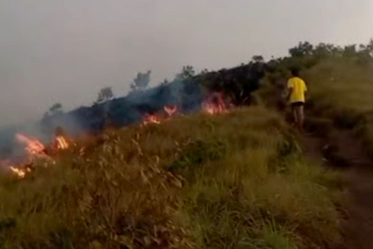 Fire Erupts at Bukit Sempana Tourist Site at the Foot of Mount Rinjani