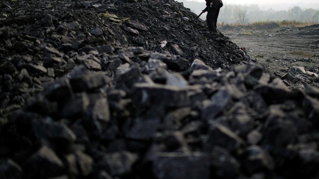 Coal Price Plunges After Rally, Warning Sign for Indonesian Business