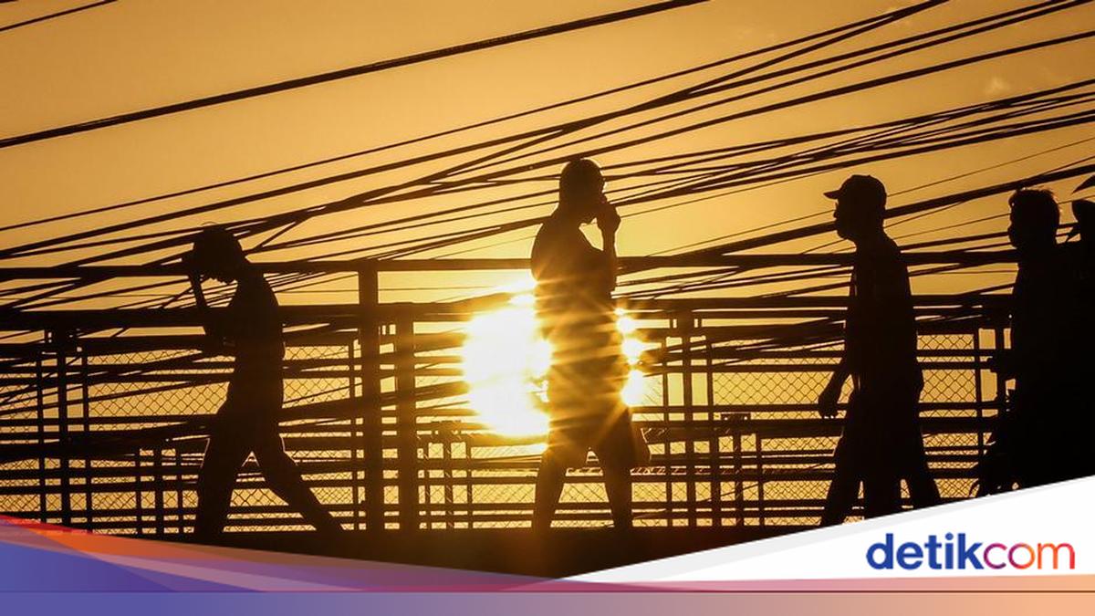Strongest El Niño in a Century Approaches: What Are the Impacts?