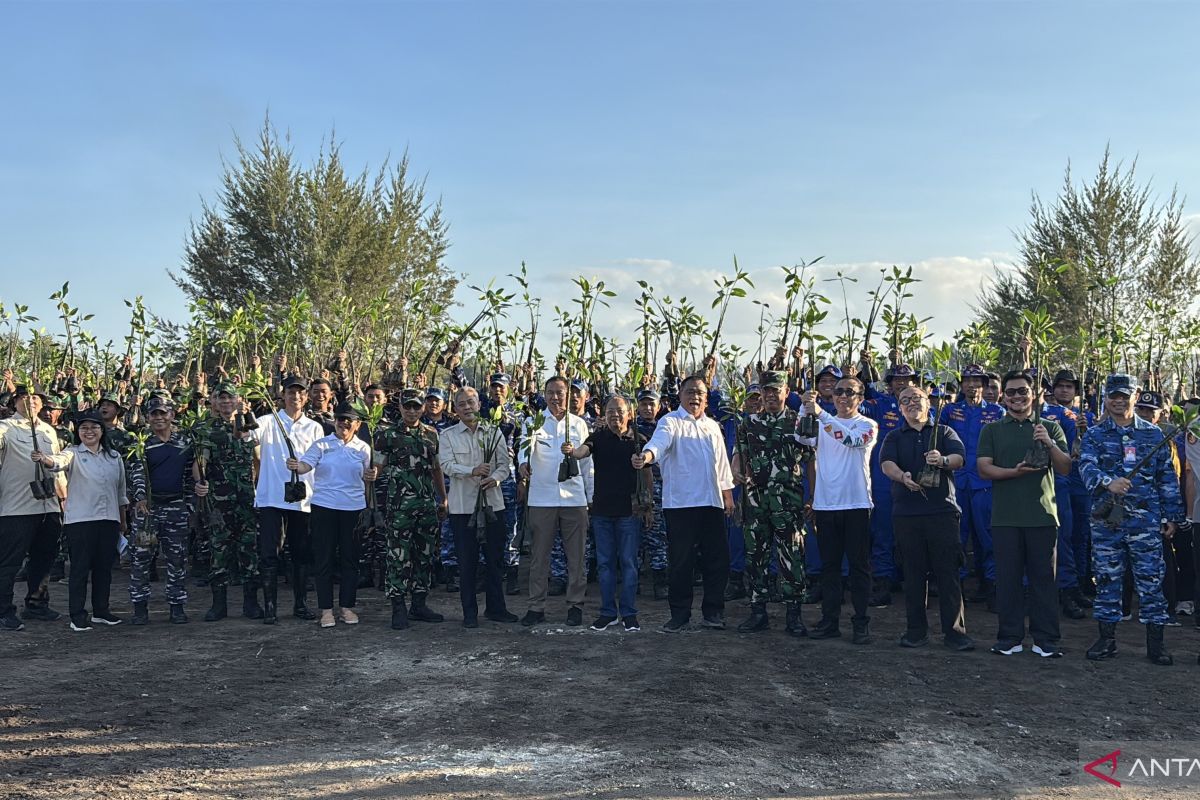 Environment Minister Intensifies Mangrove Planting to Address Environmental Challenges