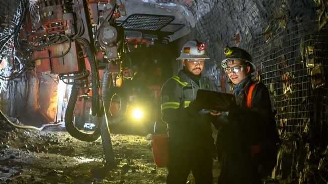 Solid Amidst Turmoil, MIND ID Group Performance Exceeds Market Expectations