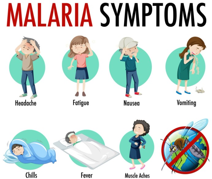 Alert! Malaria Cases in Indonesia Soar to 706,000, Elimination Focus Tightened