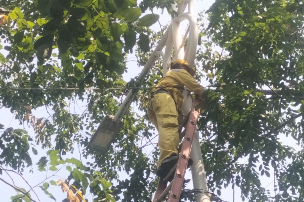 Repair of vandalised streetlights in South Jakarta targeted for completion this week