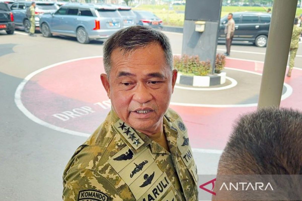 Army Chief: TNI only assists projects beyond ministries' reach
