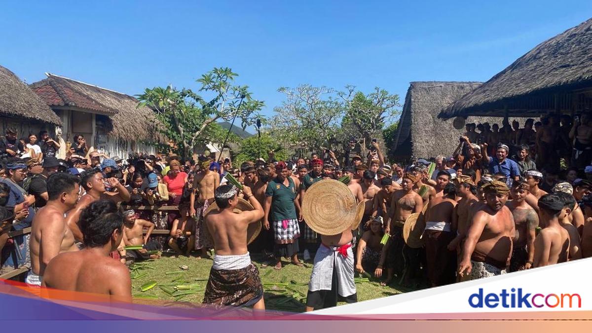 Sacred Pandan War Tradition in Karangasem Draws Throngs of Tourists