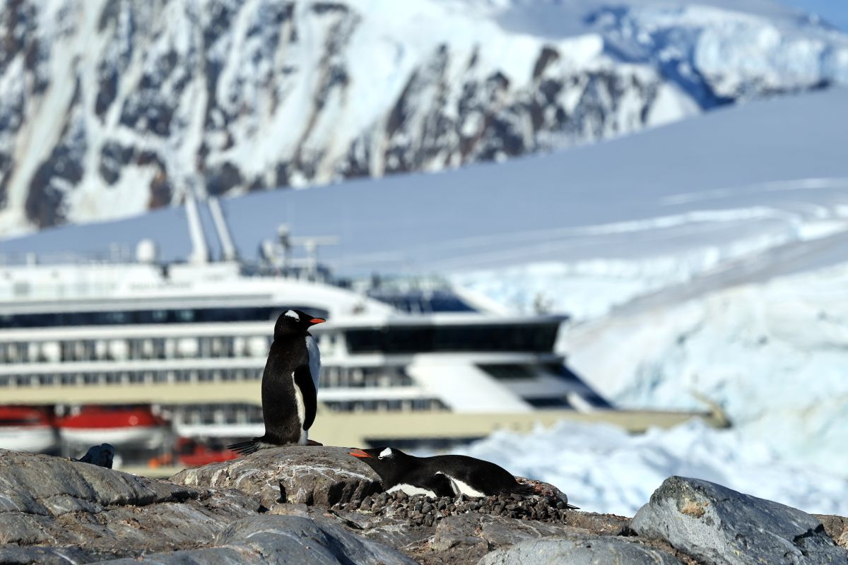 Antarctic Sea Ice Melting Faster Due to Waves and Algae