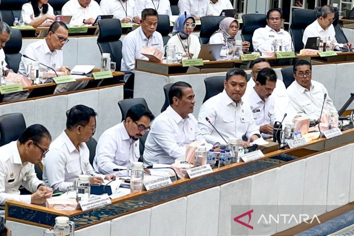 National Food Agency Proposes Rp17.73 Trillion Budget Increase to Strengthen Food Stability