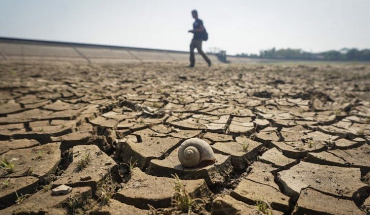 BMKG: Ten Districts and Cities in NTB to Enter Dry Season in June 2026