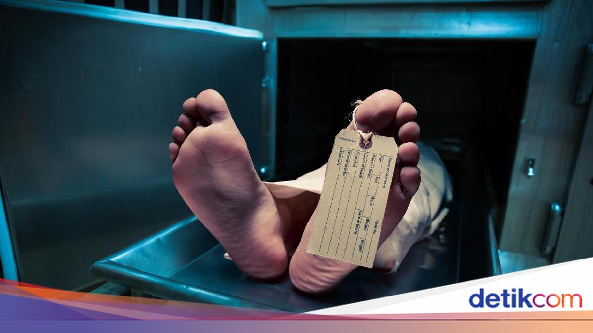 NTT Teacher Found Dead in South Papua's Mappi, Provincial Government Coordinates Repatriation