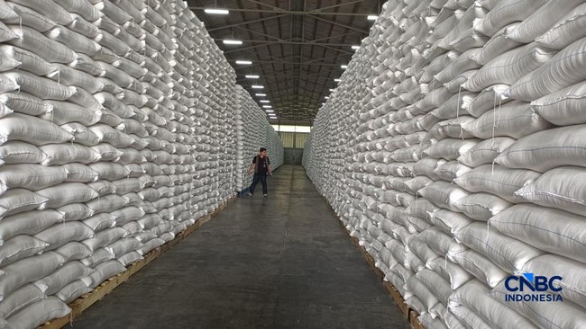 Minister Amran Reveals 3,619 Tonnes of Bulog Rice Damaged, Details the Breakdown