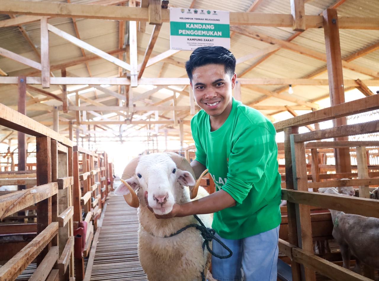 Baznas Launches 'Balai Ternak' Programme in Kendal to Empower Mustahik