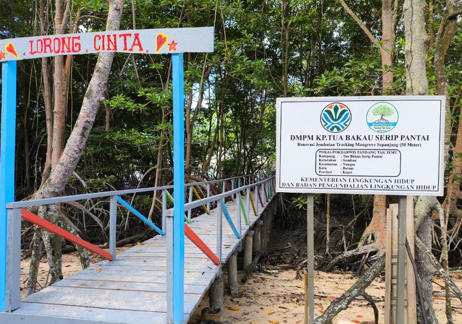 Independent Village Cares for Mangroves: Government Programme Strengthens Coastal Community Empowerment
