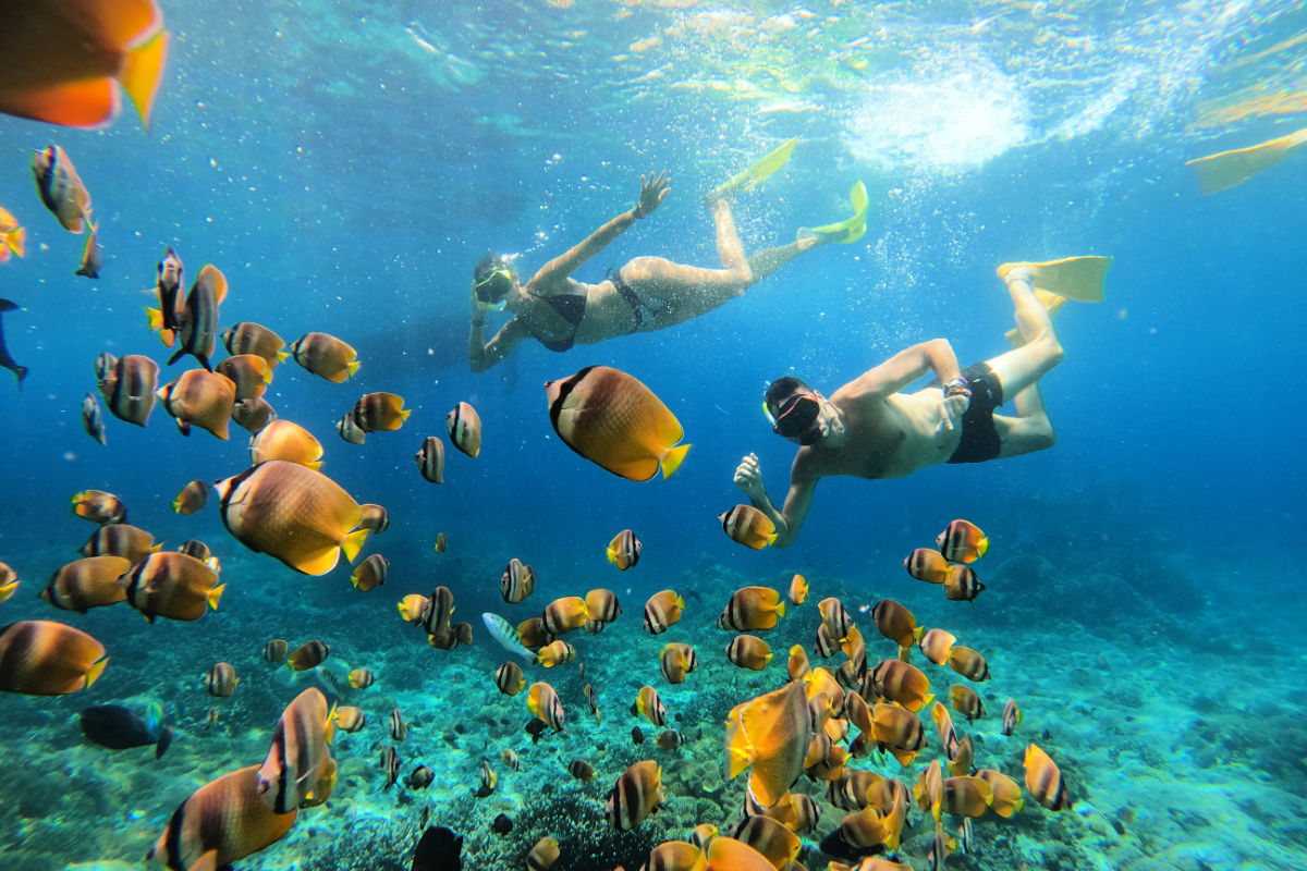 South Bali To Become Marine Conservation Area Improving Tourists’ Experiences