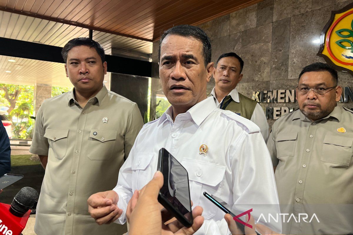 Bapanas Chief: Feed Corn SPHP Programme Intensified to Protect Livestock Farmers