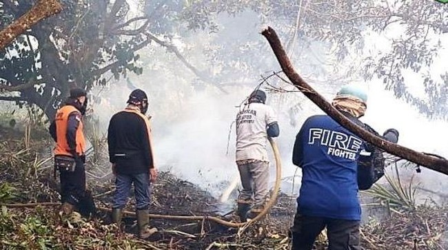 Strategies to Address the Surge in Forest and Land Fires