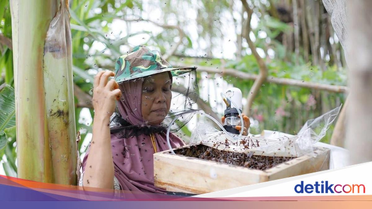 SLV Programme Builds a Sustainable Village Model from Trigona Honey