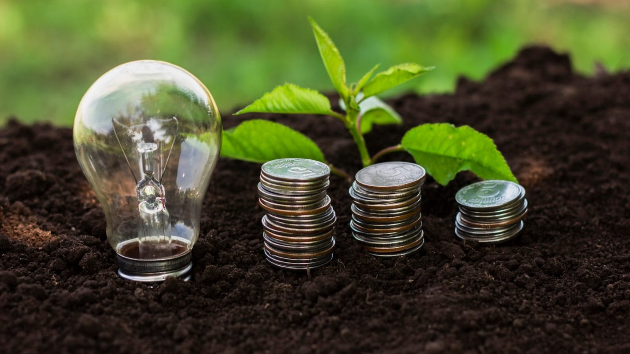 Green Economy Development Requires Cross-Sector Collaboration, Not Just Academic Discourse