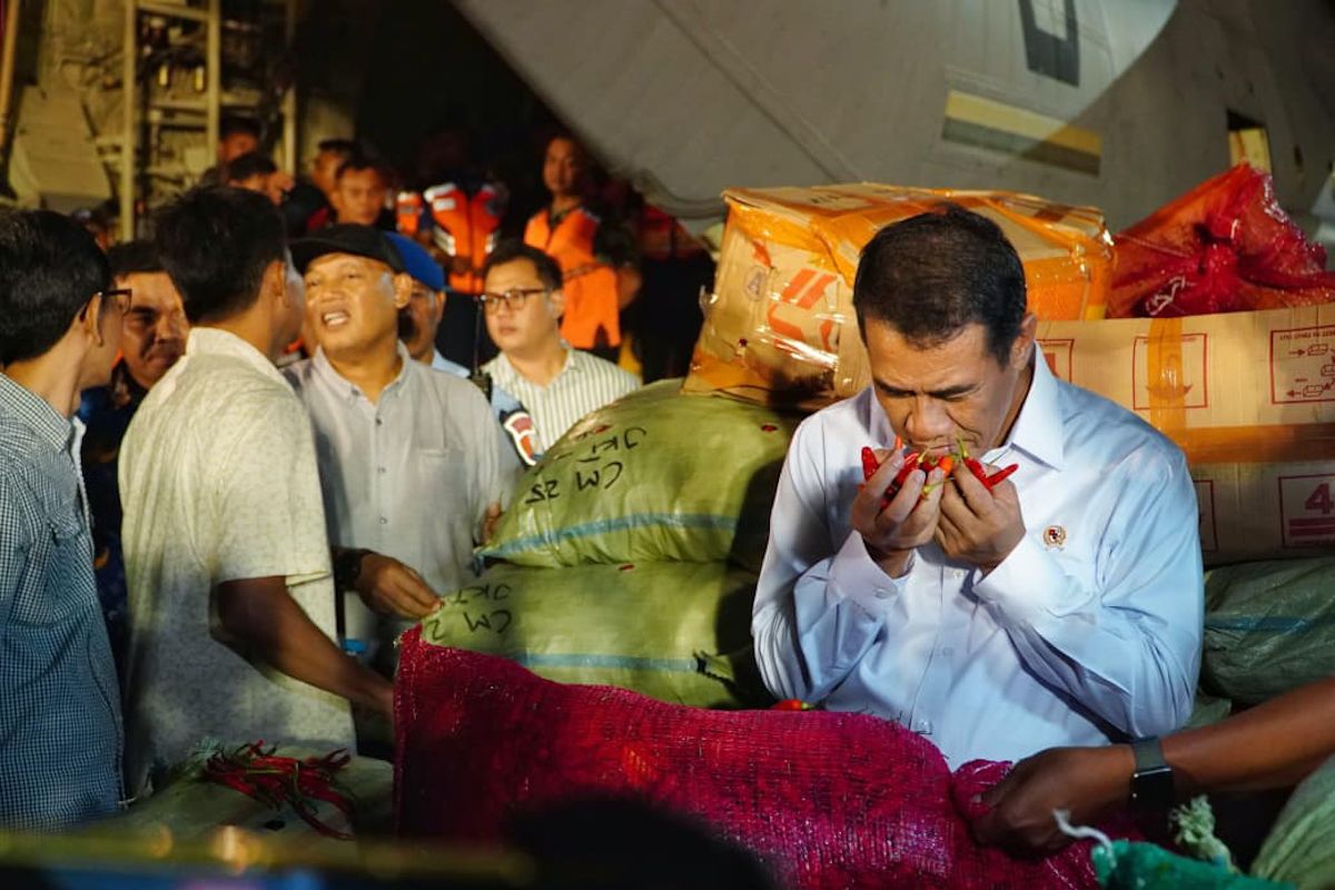 Government assures action to protect chilli farmers' prices and stabilise consumer costs