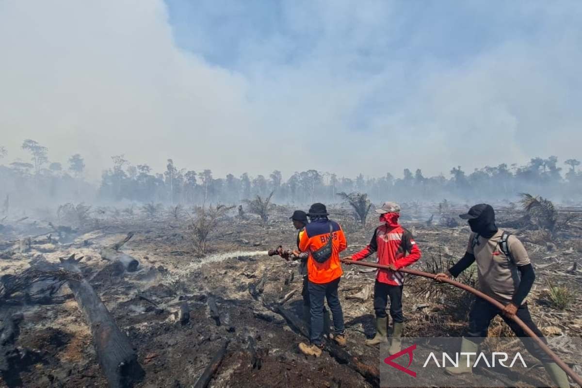 Forest and Land Fires in West Aceh Spread to 31.1 Hectares Across Five Districts