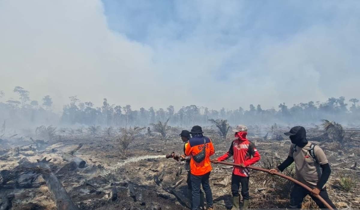 Forest and Land Fires in West Aceh Expand to 31.1 Hectares