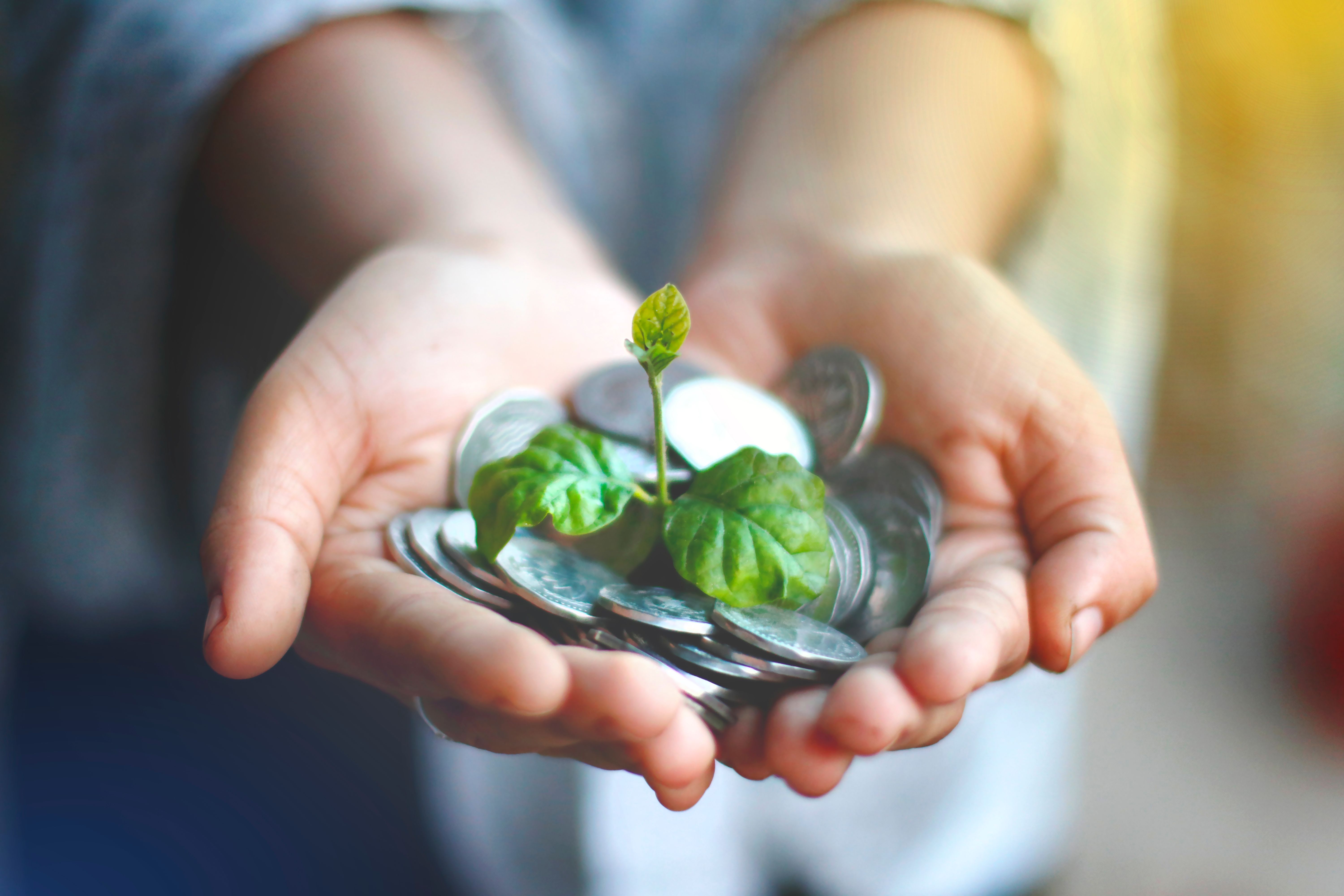 Green Investment and Attractive Return Potential in Insight Renewable Energy Fund