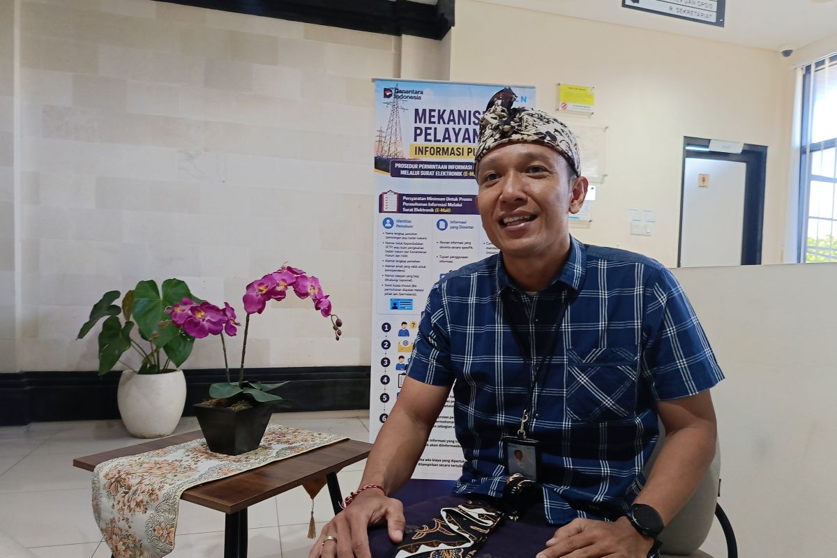 PLN says Bali has up to 2,000 MW of clean energy potential