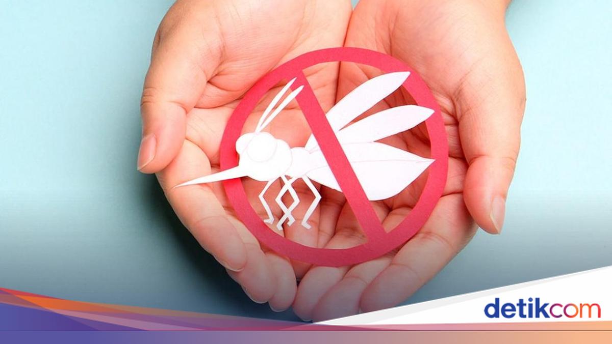 ASEAN Dengue Day 2026: Theme and Messages for Its 15 June Commemoration