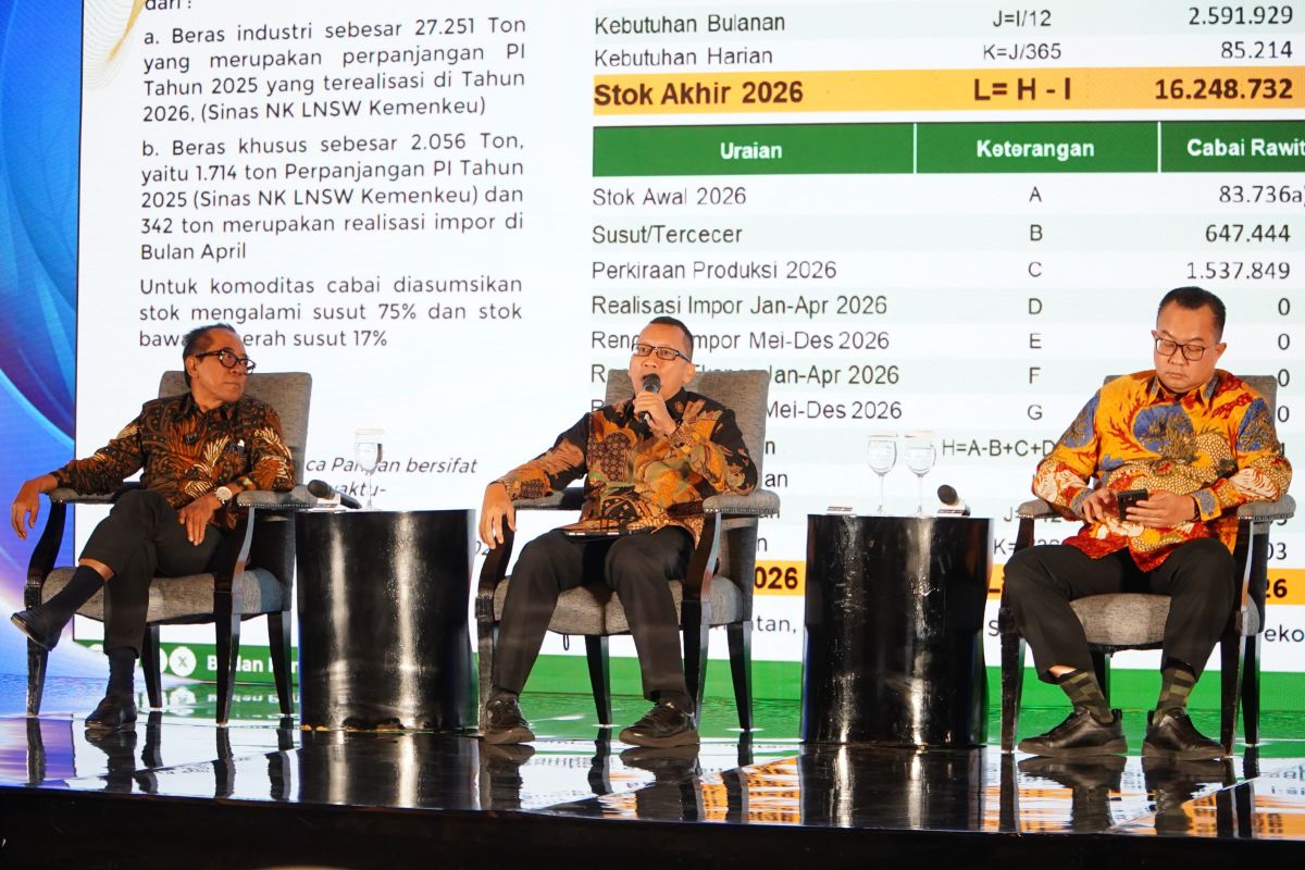 Indonesia's record 5.3M-ton rice stocks strengthen food security