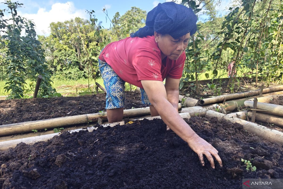 Forestry Ministry prioritises social forestry access for the poor