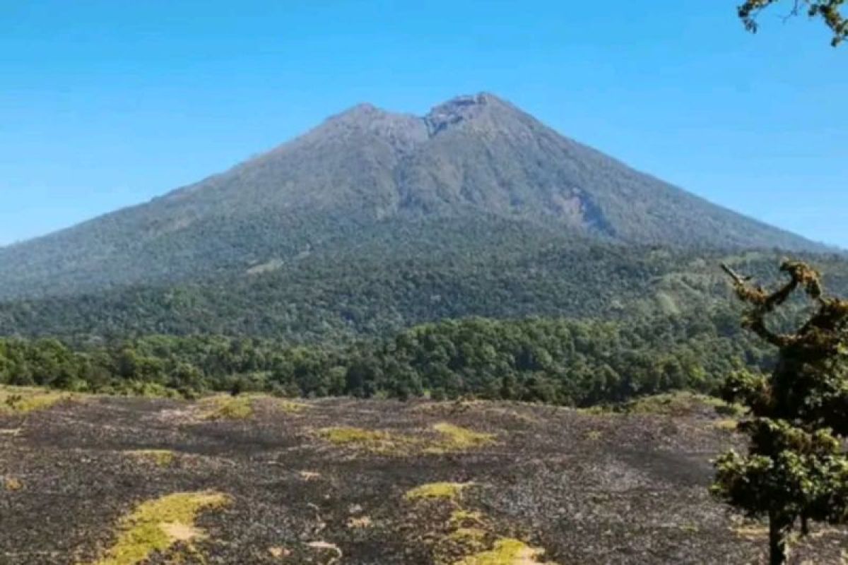 Mount Rinjani savannah areas highly susceptible to fires during dry season