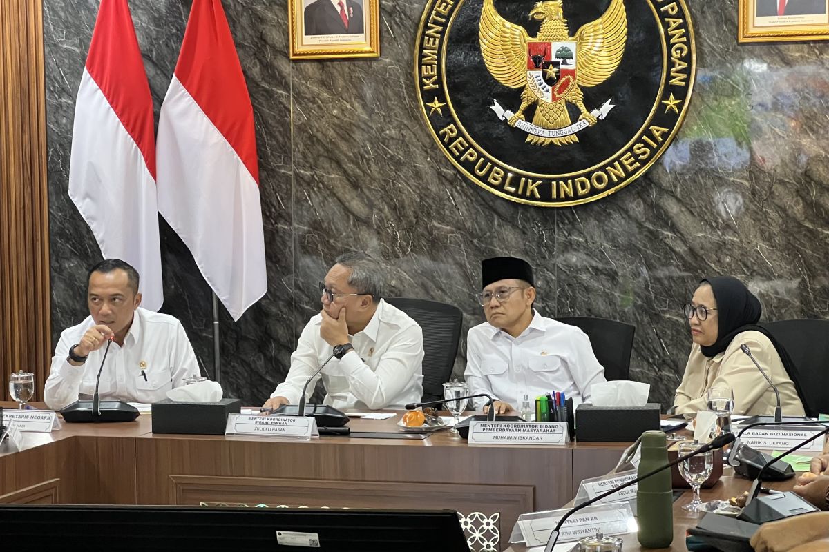 Coordinating Minister Zulhas reveals MBG kitchens in 3T regions surge to 8,617 locations