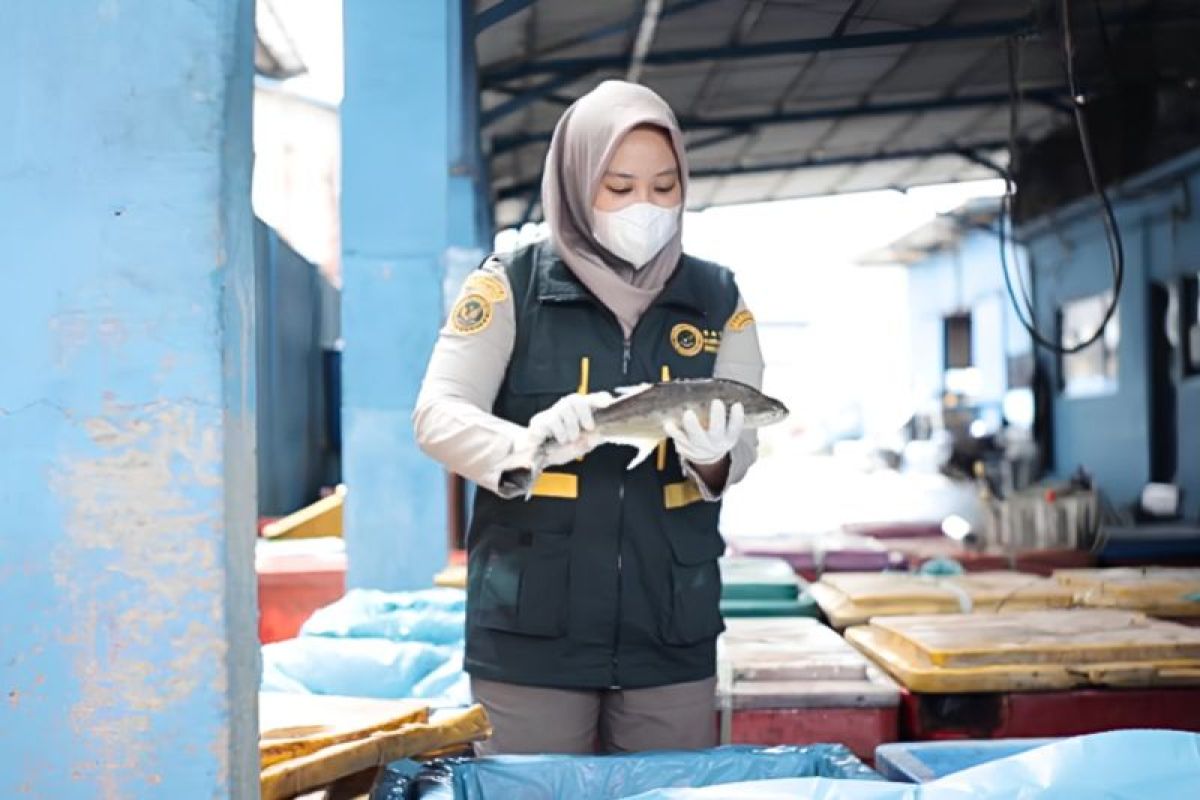Babel Quarantine Oversees Rp1.3 Billion Fish Export to Malaysia