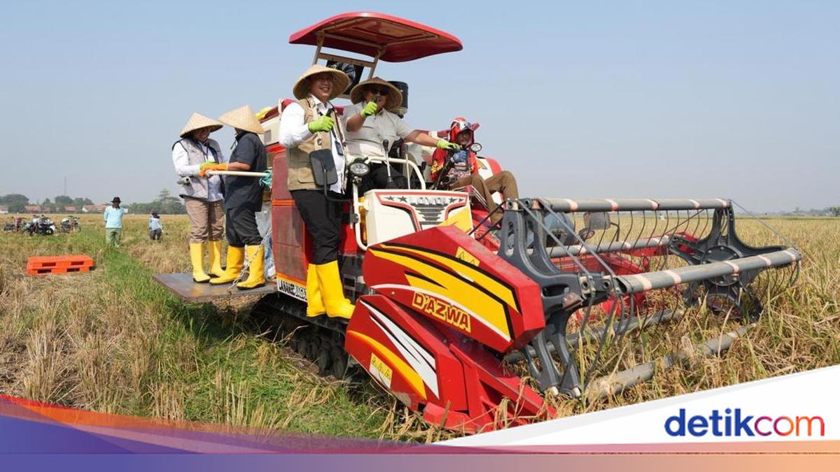 BPK Supports BULOG in Achieving Food Security Through Strengthened Self-Sufficiency