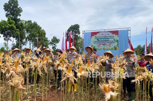 Maize Becomes a Symbol of New Livelihood for Farmers in West Bandung