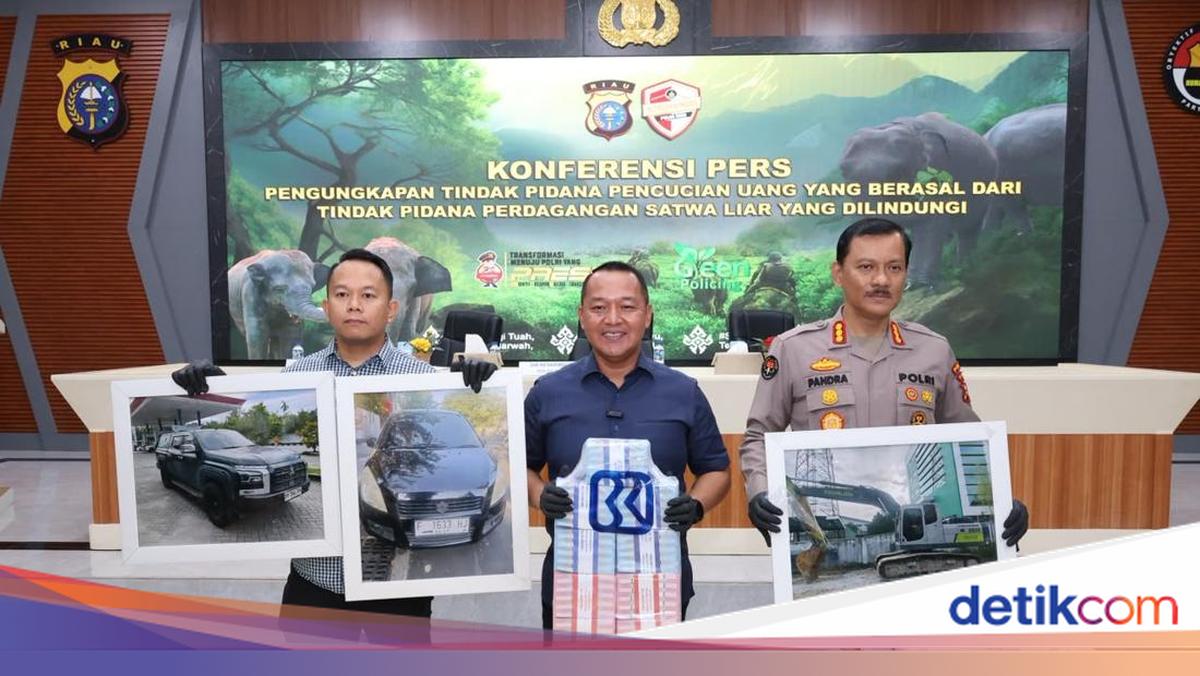 Riau Police Impoverish Two Elephant Ivory Trade Suspects Through Money Laundering Charges