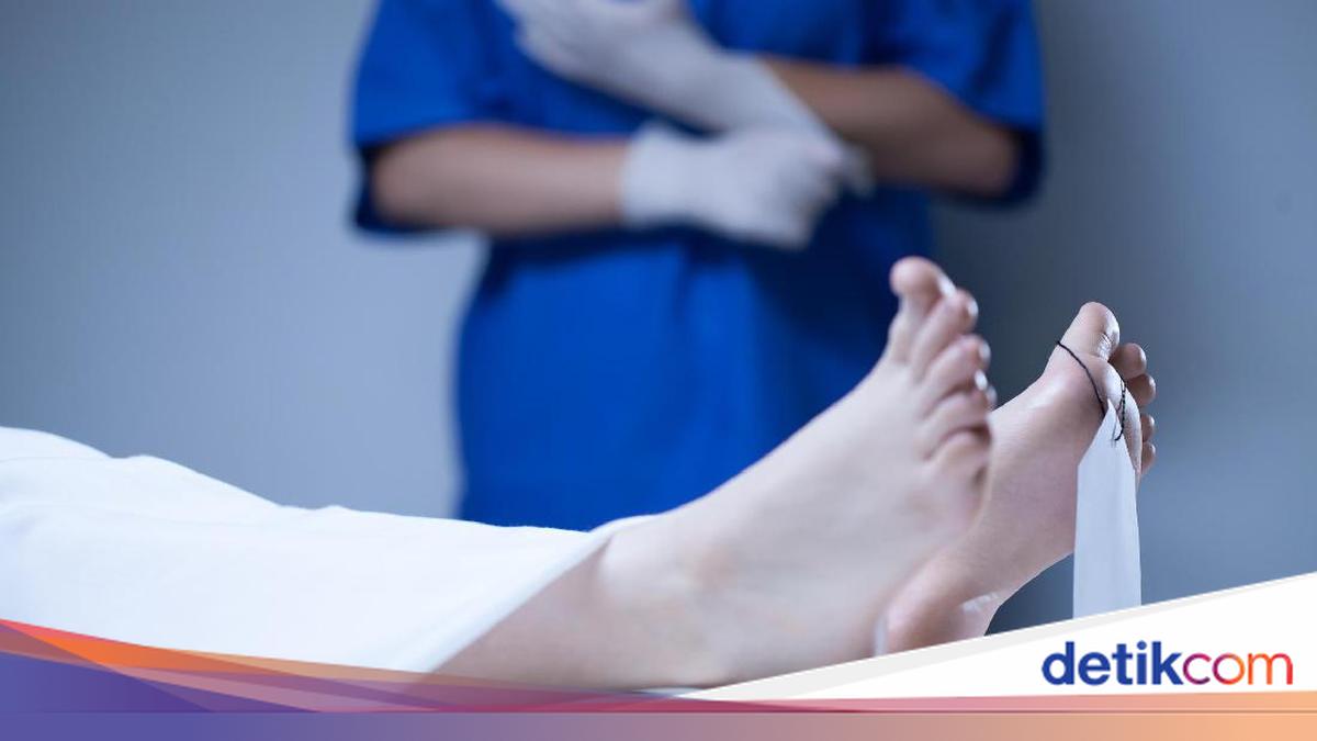 Junior High School Student in Nagekeo, NTT, Dies from Rabies After Dog Bite